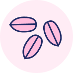 Ground nuts (peanuts) icon