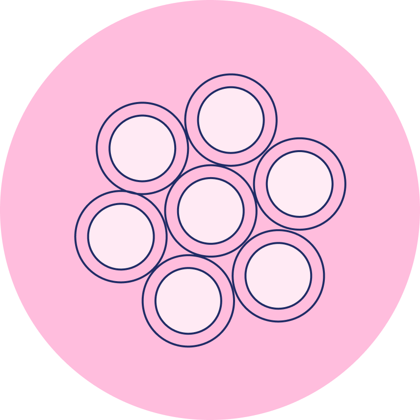 Illustration of CMPA versus Lactose intolerance